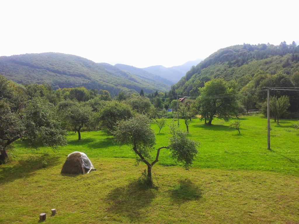 Pensiunea Elena Vistisoara Oda fotoğraf