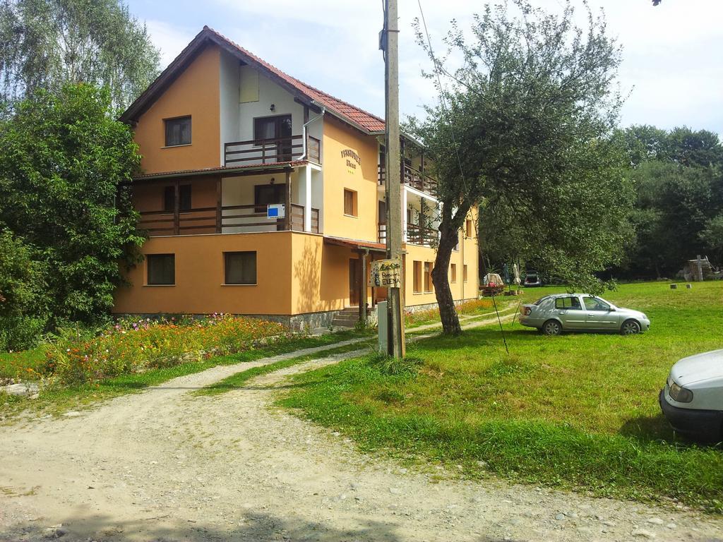 Pensiunea Elena Vistisoara Oda fotoğraf