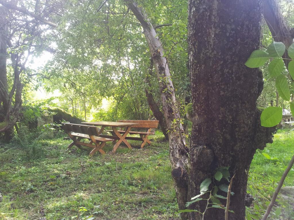 Pensiunea Elena Vistisoara Oda fotoğraf