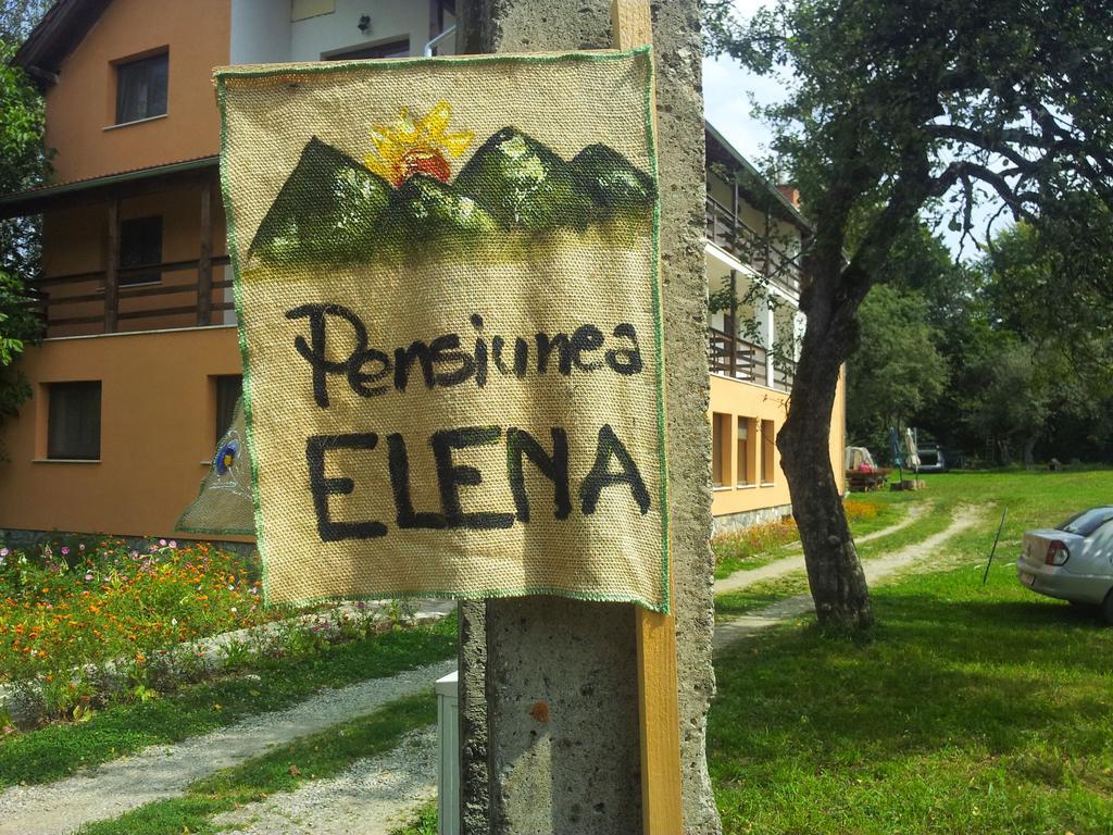 Pensiunea Elena Vistisoara Oda fotoğraf