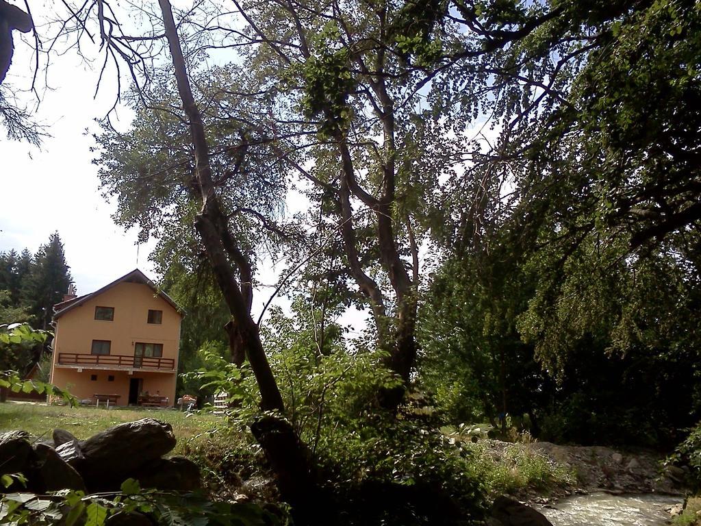 Pensiunea Elena Vistisoara Dış mekan fotoğraf