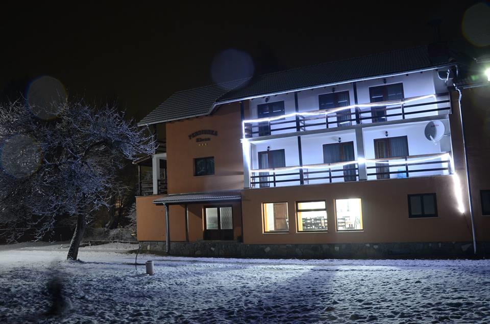Pensiunea Elena Vistisoara Dış mekan fotoğraf