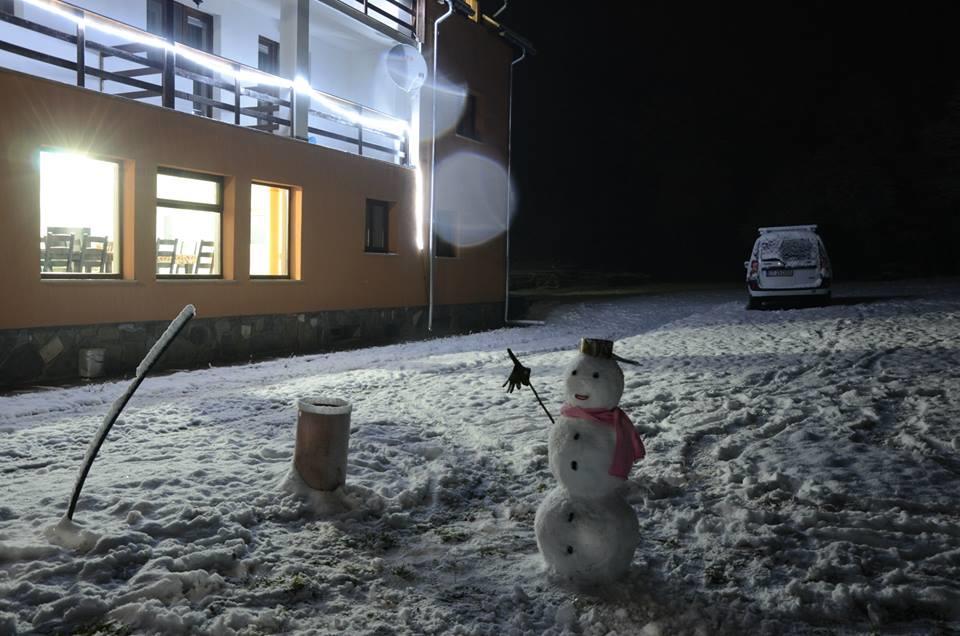 Pensiunea Elena Vistisoara Dış mekan fotoğraf