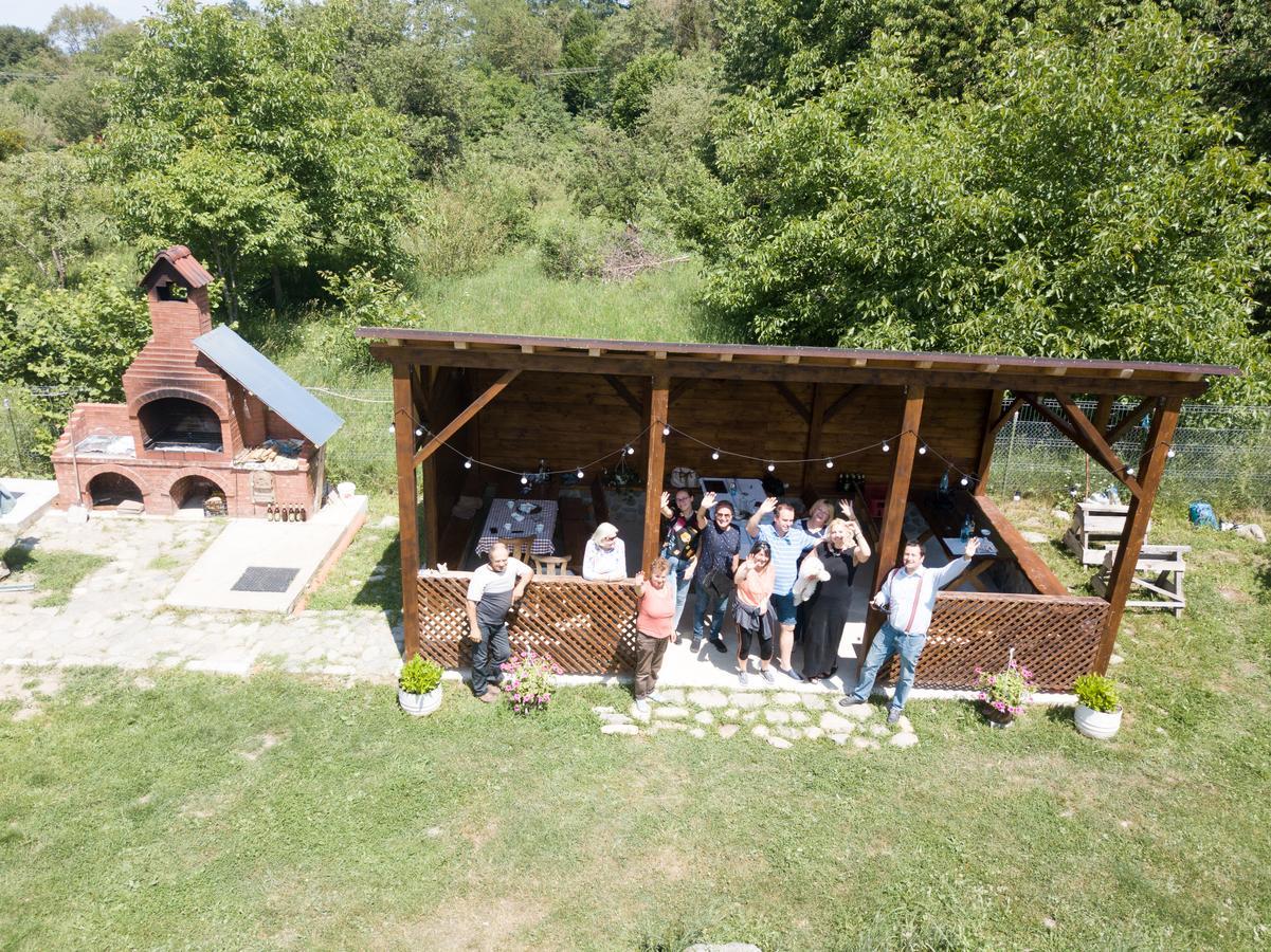 Pensiunea Elena Vistisoara Dış mekan fotoğraf