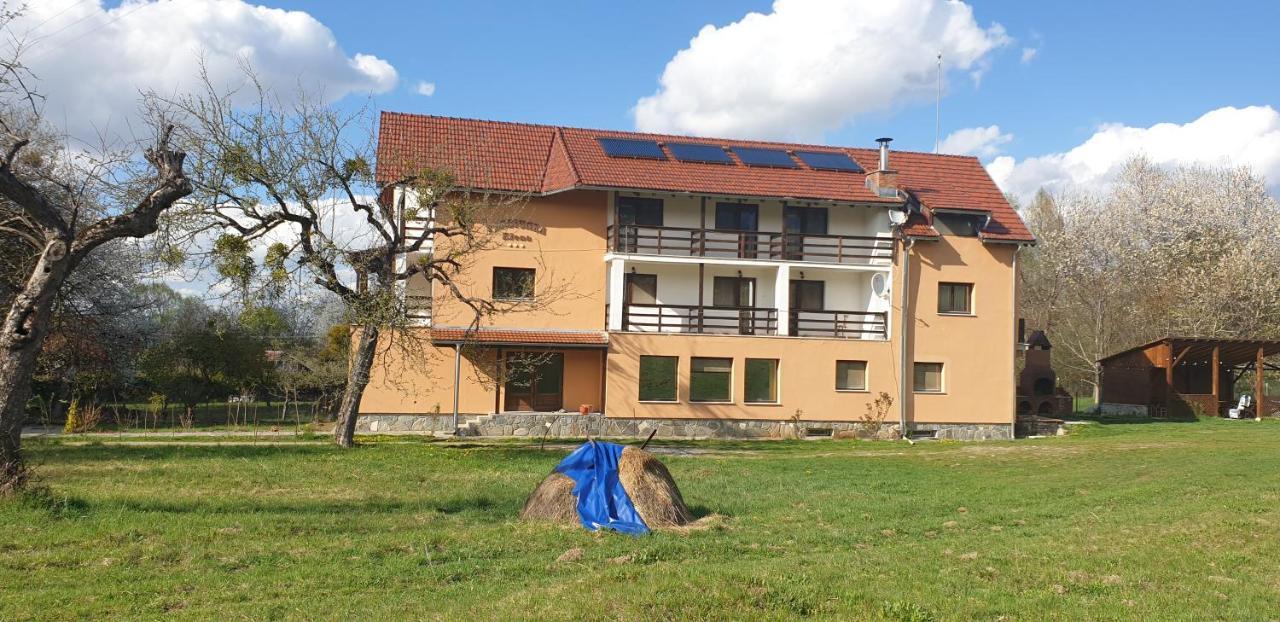 Pensiunea Elena Vistisoara Dış mekan fotoğraf
